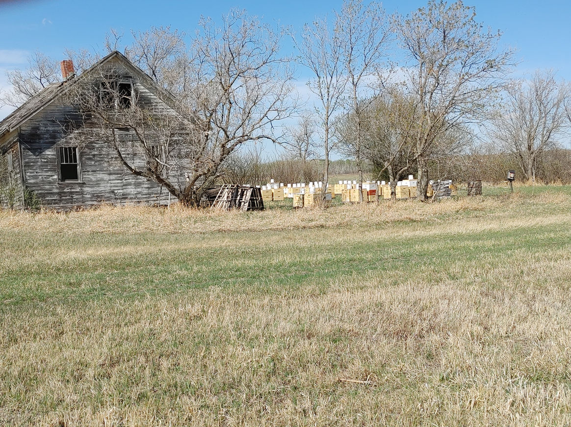 2021 Season photo 31